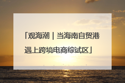 观海潮｜当海南自贸港遇上跨境电商综试区
