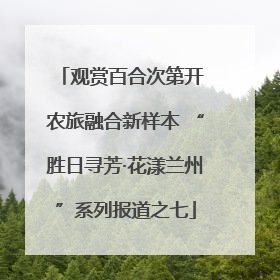 观赏百合次第开 农旅融合新样本 “胜日寻芳·花漾兰州”系列报道之七