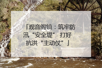 观音阁镇：筑牢防汛“安全堤” 打好抗洪“主动仗”