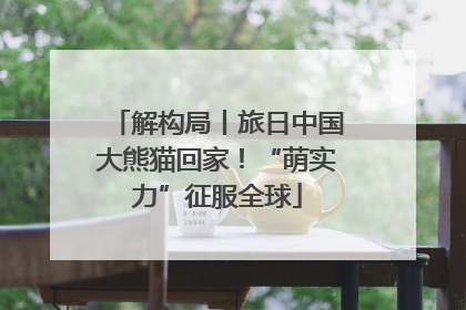 解构局丨旅日中国大熊猫回家！“萌实力”征服全球
