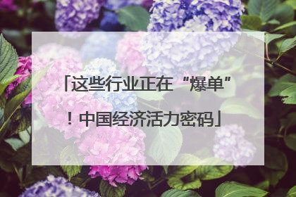 这些行业正在“爆单”！中国经济活力密码