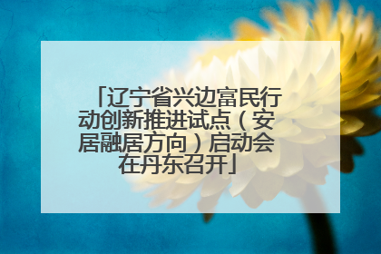 辽宁省兴边富民行动创新推进试点（安居融居方向）启动会在丹东召开
