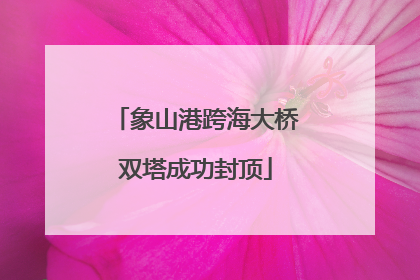 象山港跨海大桥双塔成功封顶