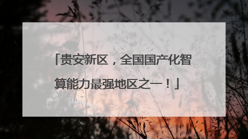 贵安新区，全国国产化智算能力最强地区之一！