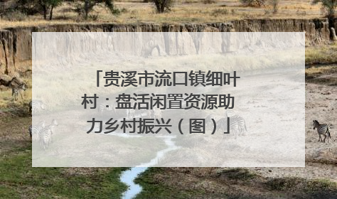 贵溪市流口镇细叶村：盘活闲置资源助力乡村振兴（图）