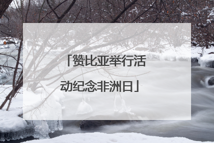 赞比亚举行活动纪念非洲日