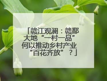 赣江观澜：赣鄱大地“一村一品”何以推动乡村产业“百花齐放”？