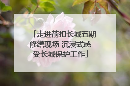 走进箭扣长城五期修缮现场 沉浸式感受长城保护工作