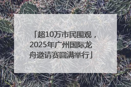 超10万市民围观，2025年广州国际龙舟邀请赛圆满举行