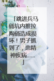 跳进兵马俑坑内推拉陶俑造成损坏！男子抓到了，患精神疾病……