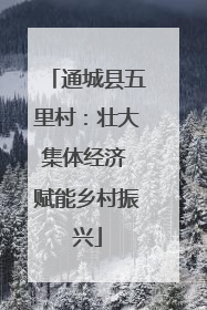 通城县五里村：壮大集体经济 赋能乡村振兴