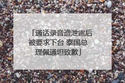 通话录音遭泄露后被要求下台 泰国总理佩通坦致歉