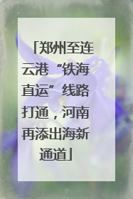 郑州至连云港“铁海直运”线路打通，河南再添出海新通道
