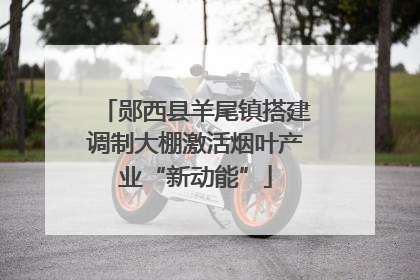 郧西县羊尾镇搭建调制大棚激活烟叶产业“新动能”