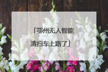 鄂州无人智能清扫车上路了