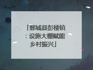 鄄城县彭楼镇：设施大棚赋能乡村振兴