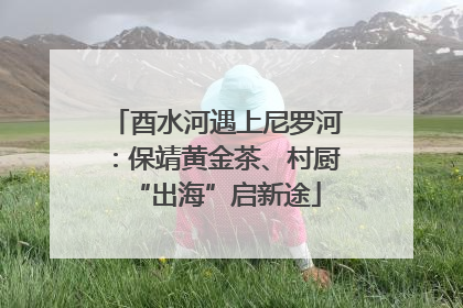 酉水河遇上尼罗河：保靖黄金茶、村厨“出海”启新途