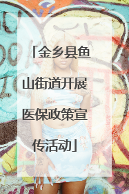 金乡县鱼山街道开展医保政策宣传活动