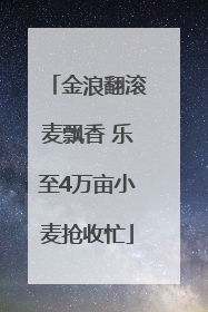 金浪翻滚麦飘香 乐至4万亩小麦抢收忙