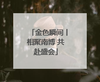 金色瞬间丨相聚南博 共赴盛会
