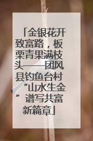 金银花开致富路，板栗青果满枝头——团风县钓鱼台村“山水生金”谱写共富新篇章