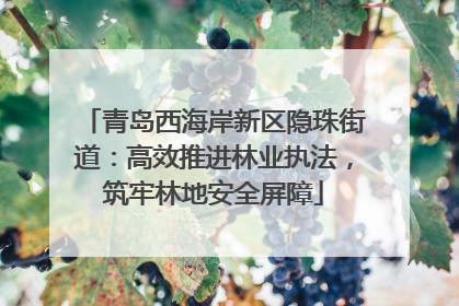 青岛西海岸新区隐珠街道：高效推进林业执法，筑牢林地安全屏障