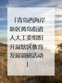 青岛西海岸新区黄岛街道人大工委组织开展辖区教育发展调研活动