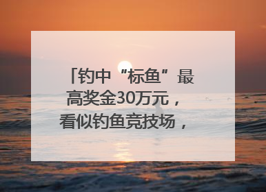 钓中“标鱼”最高奖金30万元，看似钓鱼竞技场，实则以高额“回报”作“饵”……｜今晚九点半