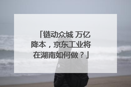 链动众城 万亿降本，京东工业将在湖南如何做？