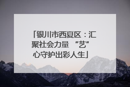 银川市西夏区：汇聚社会力量 “艺”心守护出彩人生