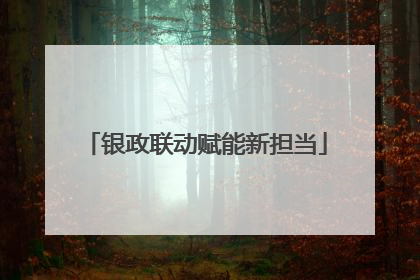 银政联动赋能新担当