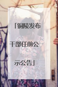 铜陵发布干部任前公示公告
