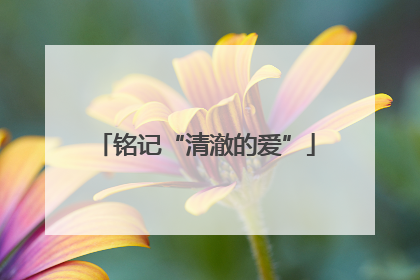 铭记“清澈的爱”