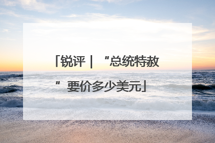 锐评｜“总统特赦”要价多少美元
