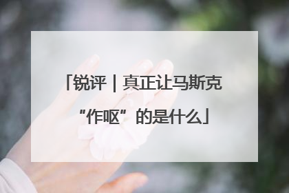 锐评｜真正让马斯克“作呕”的是什么