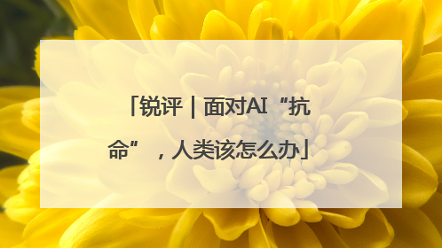 锐评｜面对AI“抗命”，人类该怎么办