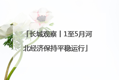 长城观察丨1至5月河北经济保持平稳运行