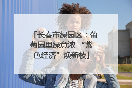 长春市绿园区：葡萄园里绿意浓 “紫色经济”焕新枝
