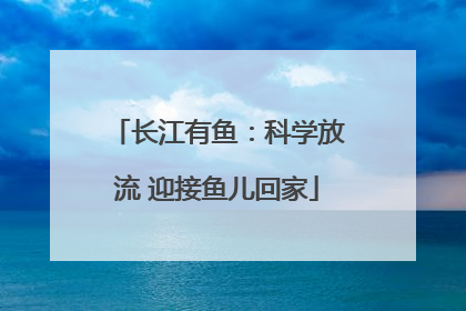 长江有鱼：科学放流 迎接鱼儿回家