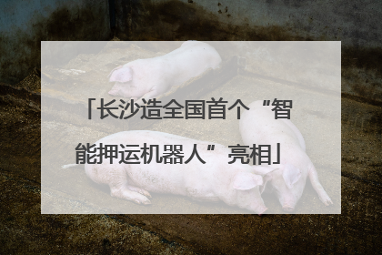 长沙造全国首个“智能押运机器人”亮相