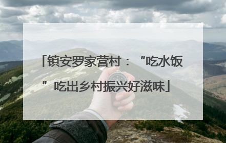 镇安罗家营村：“吃水饭”吃出乡村振兴好滋味