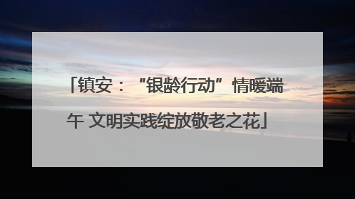 镇安：“银龄行动”情暖端午 文明实践绽放敬老之花