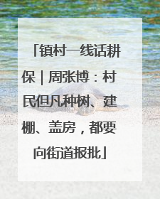 镇村一线话耕保｜周张博：村民但凡种树、建棚、盖房，都要向街道报批