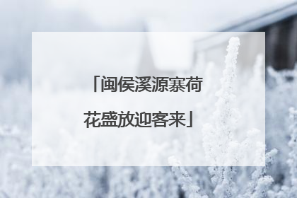 闽侯溪源寨荷花盛放迎客来