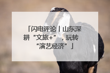 闪电评论丨山东深耕“文旅+”，玩转“演艺经济”