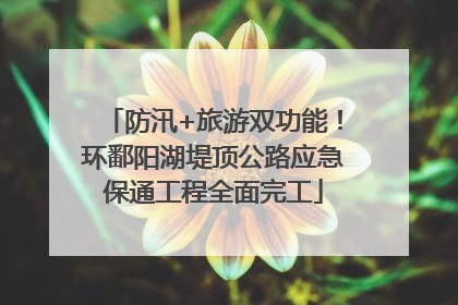 防汛+旅游双功能！环鄱阳湖堤顶公路应急保通工程全面完工