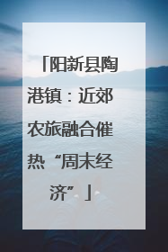 阳新县陶港镇：近郊农旅融合催热“周末经济”