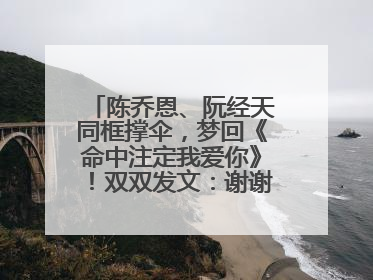 陈乔恩、阮经天同框撑伞，梦回《命中注定我爱你》！双双发文：谢谢我们都没变