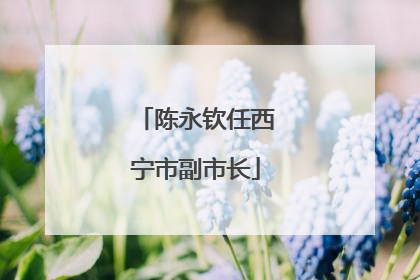 陈永钦任西宁市副市长