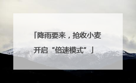 降雨要来，抢收小麦开启“倍速模式”